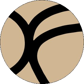 evolutiondf